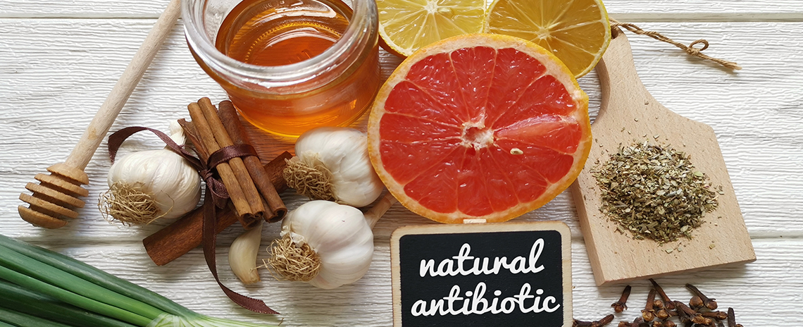 Image of 11 natural antibiotic foods like honey, garlic, and oregano