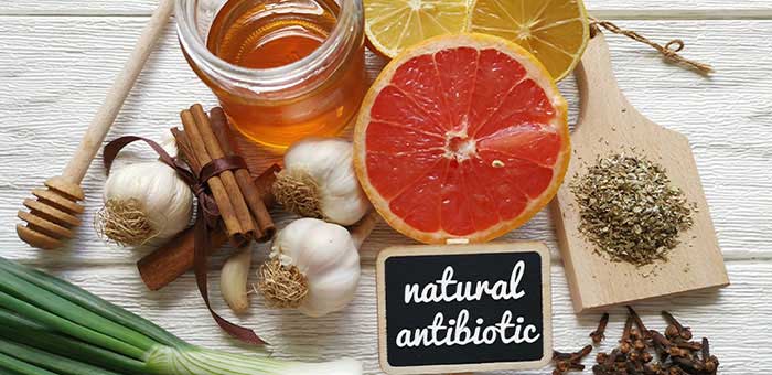 natural antibiotics reccomnded by San Rafael chiropractor