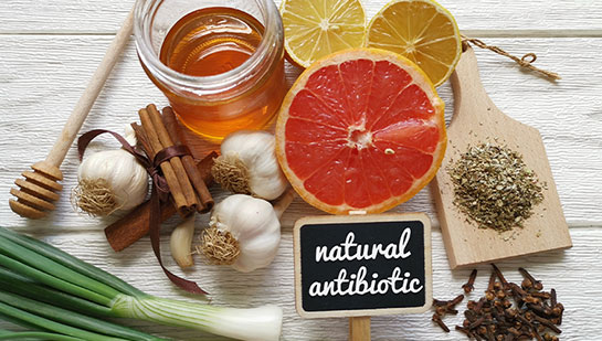 natural antibiotics reccomnded by San Rafael chiropractor